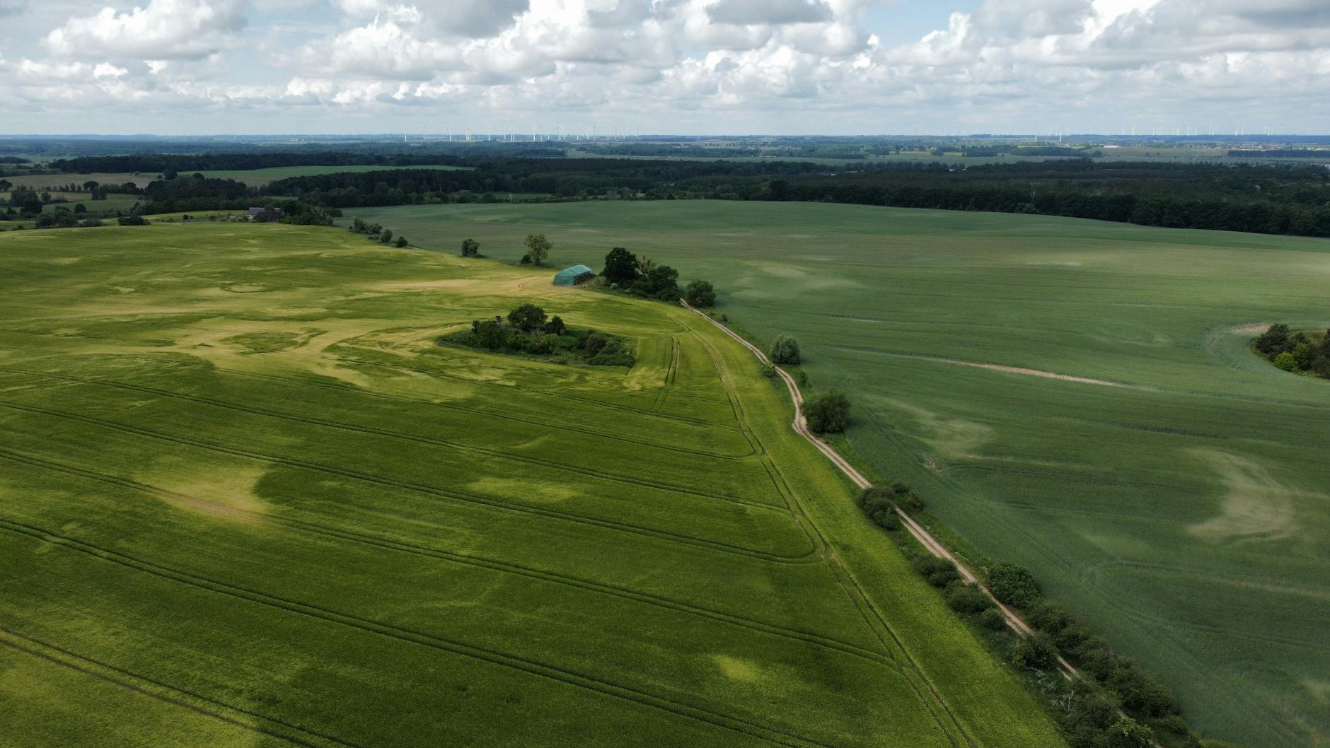 aerial view of agricultural land