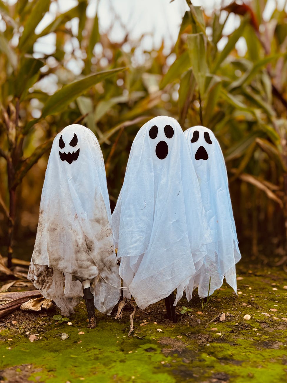 5 Celebs Who Swear They’ve Seen A Ghost