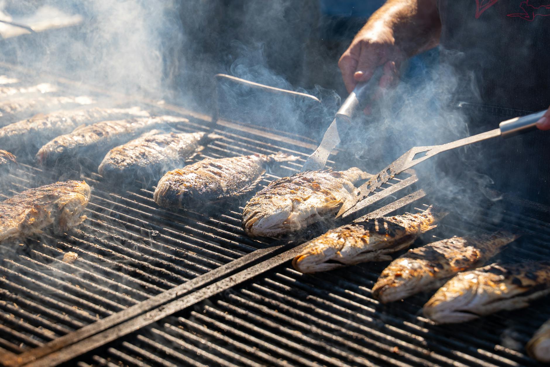 grilling fish on barbecue in ivanic grad