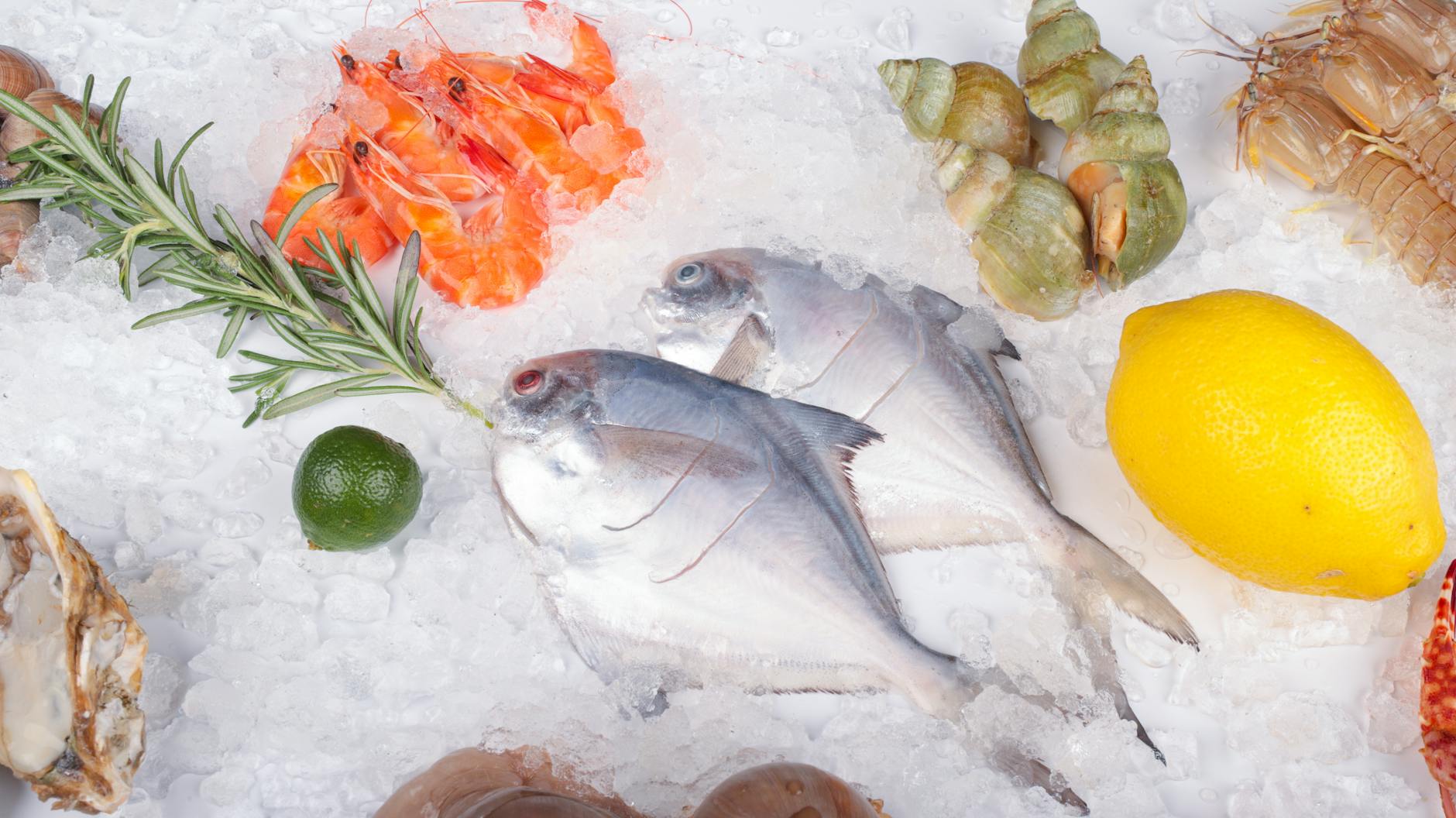 seafood laid out on the ice