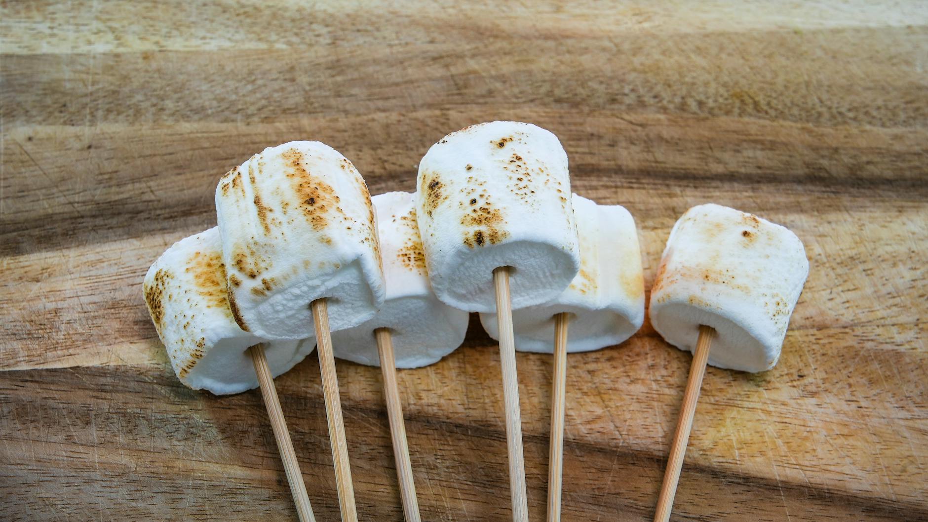 toasted marshmallows on skewers for campfire treats