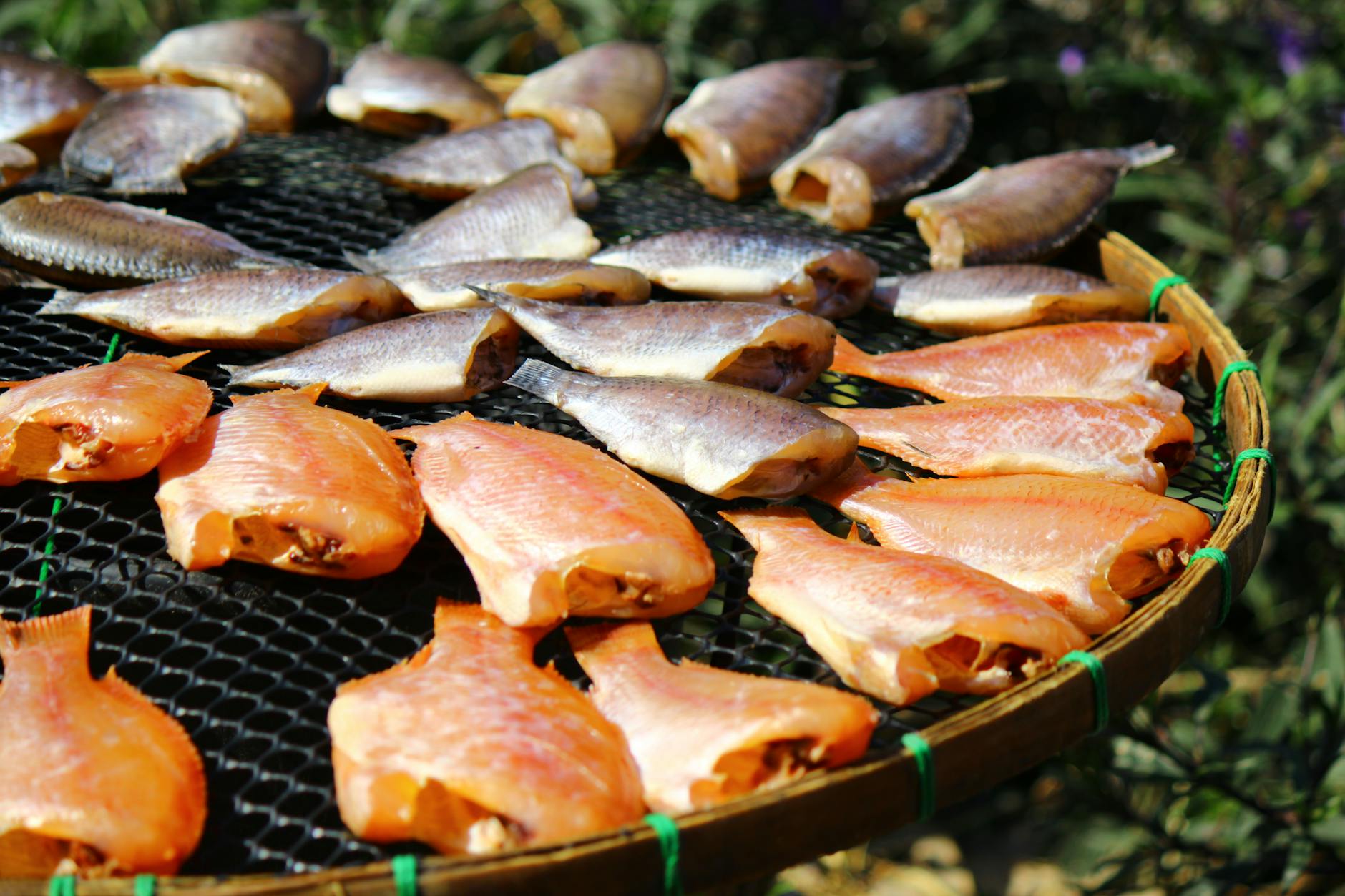 sunlit outdoor fish drying on bamboo tray