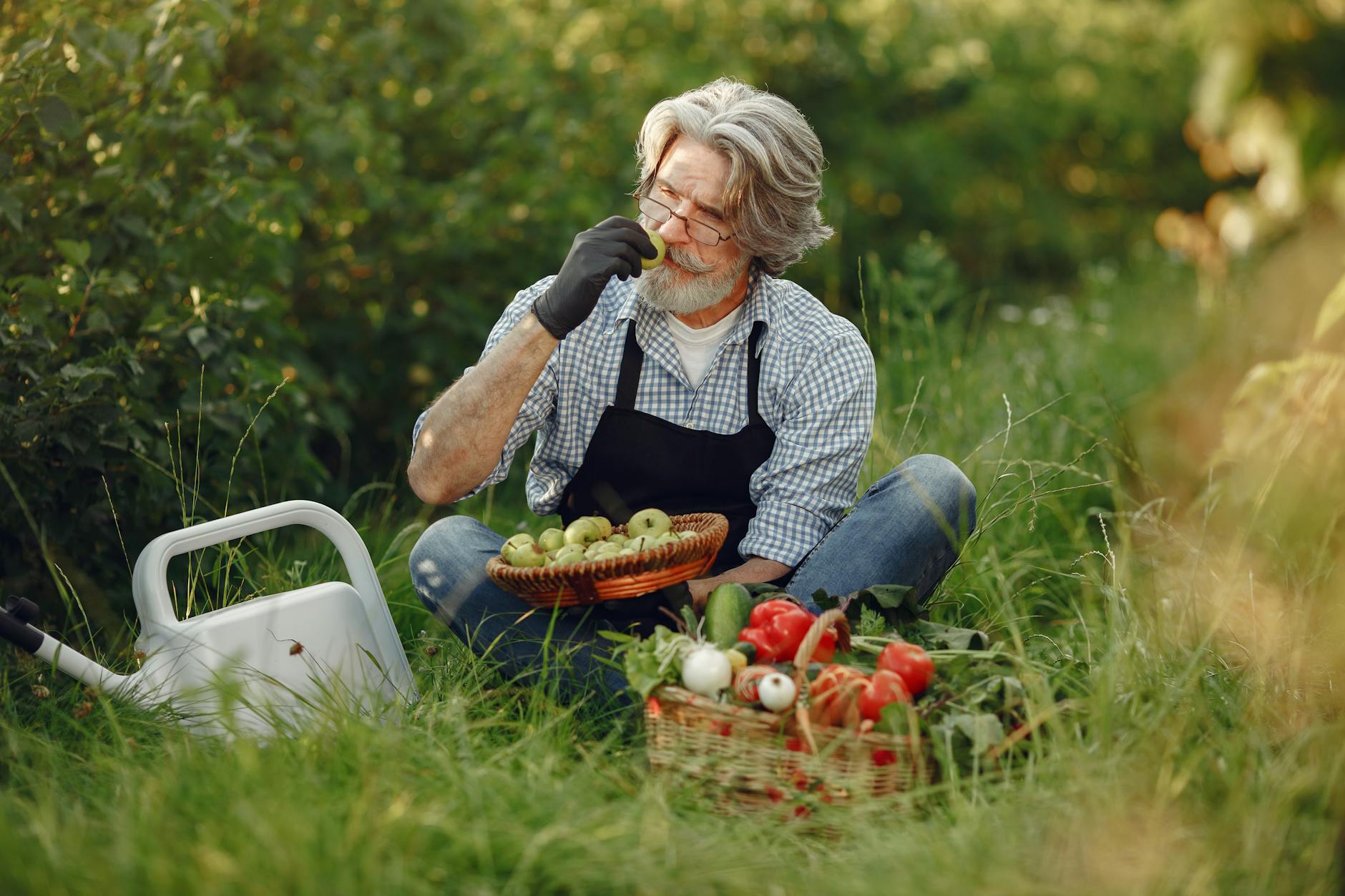 man gathering fruits and vegetables in garden